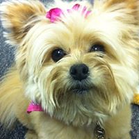 Ginger Rodriguez Photo 13