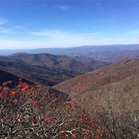 Debbie Agee Photo 21