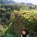 Ann Tung Photo 11