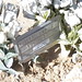 Robert Connors Photo 31