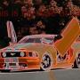 Curtis Robbins Photo 37
