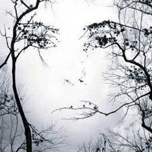 Janice Elder Photo 36