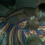 Joy Price Photo 23