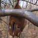 Garret Sharp Photo 4