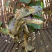 Rex Sharp Photo 5