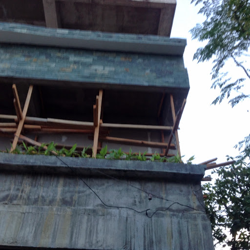 Agnes Flores Photo 15