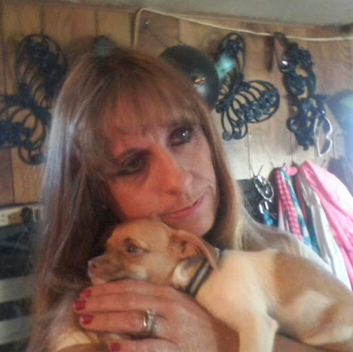 Terry Mckinley Photo 28