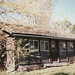 Belinda Lewis Photo 8