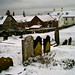 Mary Snow Photo 47