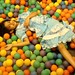 Jane Ball Photo 22