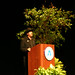 Carol Friedman Photo 18