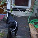 Alan Singleton Photo 29