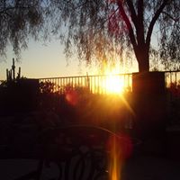 Carole Oliver Photo 25