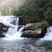 Dennis Forrest Photo 19