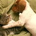 Roger Redden Photo 15