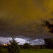 Windy Lawrence Photo 4