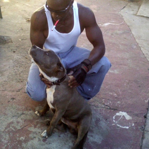 David Burks Photo 11