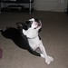 Rhonda Tanner Photo 19