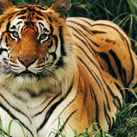 Swapnil Ghate Photo 10