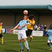 Andrew Stevens Photo 43