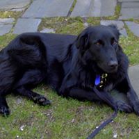Peggy Moser Photo 14