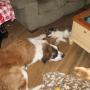Susan Miner Photo 31