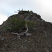 Judy Earls Photo 23