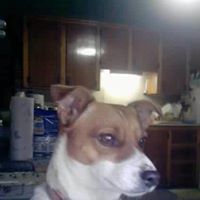 Richard Stover Photo 14