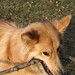 Ginger Patterson Photo 31