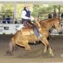 Charles Perkins Photo 26