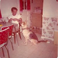 Deborah Grimes Photo 31