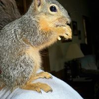 Randy Byrd Photo 36