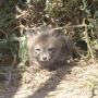 Lisa Barnhart Photo 44