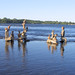 John Roch Photo 16
