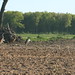 Rob Long Photo 12