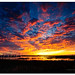 Robert Toler Photo 22