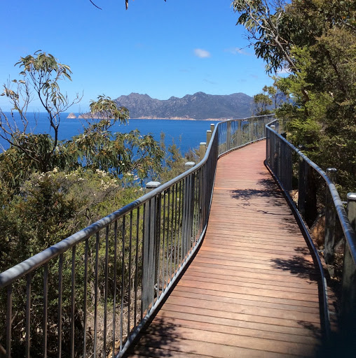 Wendy Harris Photo 36