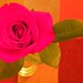 Rose Patrick Photo 28