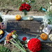 Jeremiah Carroll Photo 12