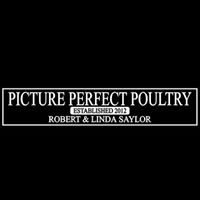 Linda Saylor Photo 7