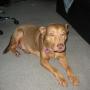 Randy Taylor Photo 17