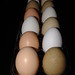 Julie Cowart Photo 9