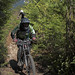 Chris Adams Photo 13