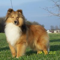 Carolyn Foreman Photo 27