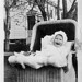 Elizabeth Crovo Photo 14