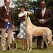 Judy Harrington Photo 28