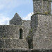 Crystal Boyle Photo 28