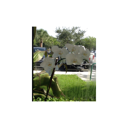 Jean Turner Photo 23