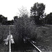 Robert Carbon Photo 6