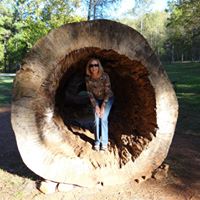 Cindy Adams Photo 34